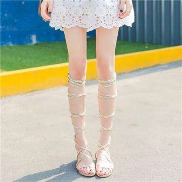 半岛全站app下载